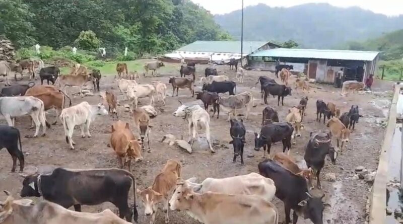 पशुपालन योजनाओं से 1,726 ग्रामीणों को मिला स्वरोजगार का सहारा