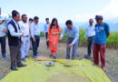क्रॉप कटिंग प्रयोग में ग्रामीणों के साथ खेत में उतरीं जिलाधिकारी, महिलाओं से जानी आजीविका की स्थिति