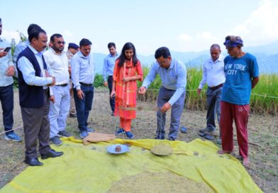 क्रॉप कटिंग प्रयोग में ग्रामीणों के साथ खेत में उतरीं जिलाधिकारी, महिलाओं से जानी आजीविका की स्थिति