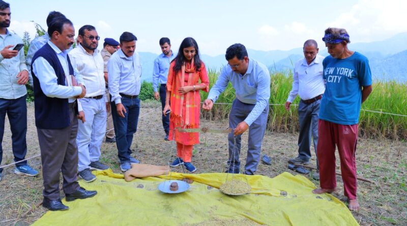 क्रॉप कटिंग प्रयोग में ग्रामीणों के साथ खेत में उतरीं जिलाधिकारी, महिलाओं से जानी आजीविका की स्थिति