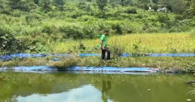 सात तालाबों में मछली उत्पादन कर सालाना करीब तीन लाख रुपये की बचत, तीन महिलाओं को भी मिला रोजगार
