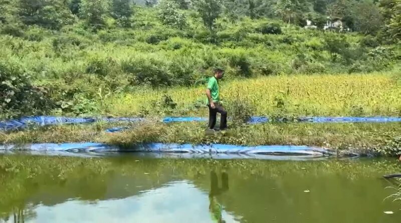 सात तालाबों में मछली उत्पादन कर सालाना करीब तीन लाख रुपये की बचत, तीन महिलाओं को भी मिला रोजगार